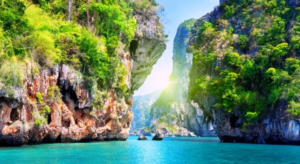 Delectus magnam dolores quae